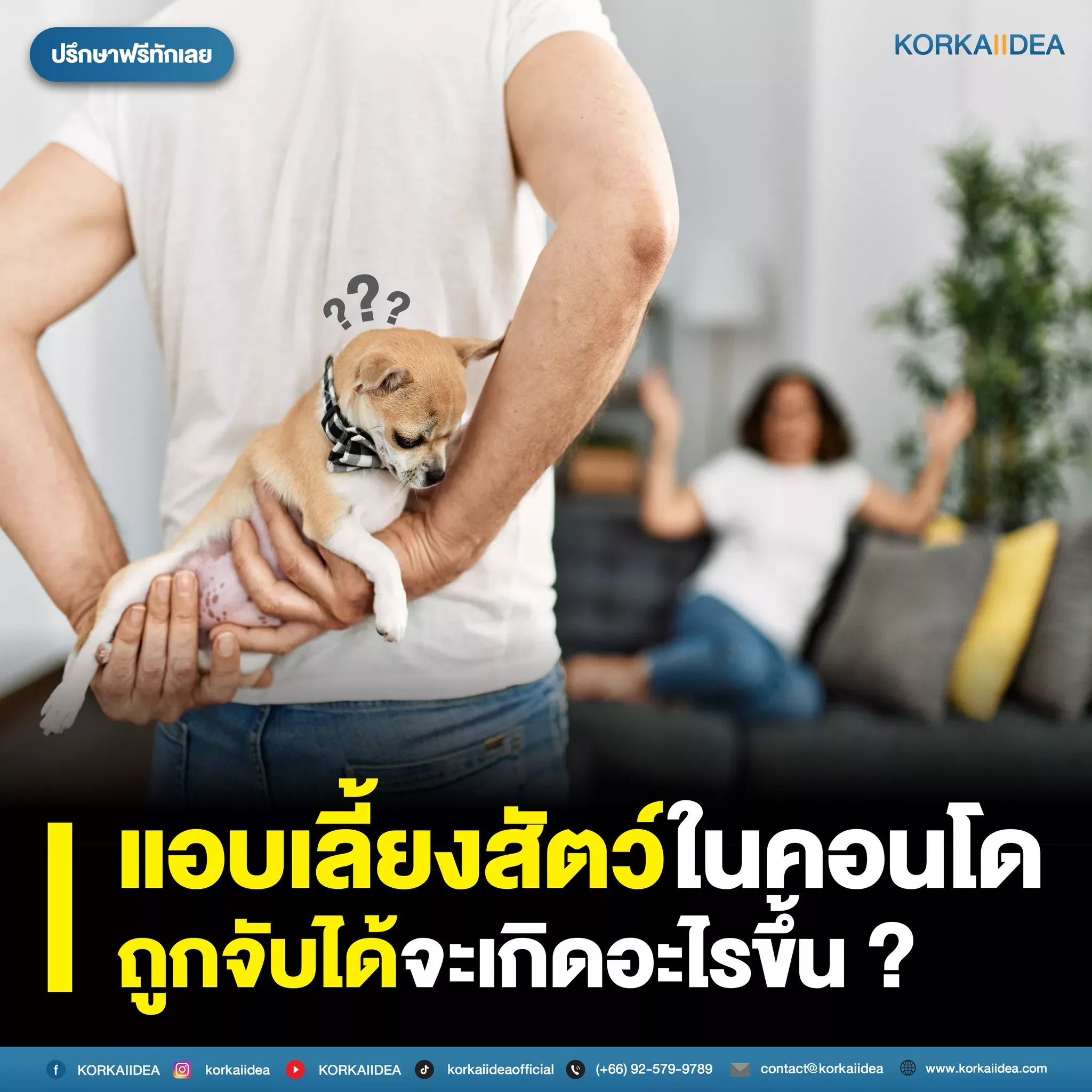 คอนโด เลี้ยงสัตว์ Pet Friendly