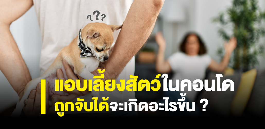 คอนโด เลี้ยงสัตว์ Pet Friendly