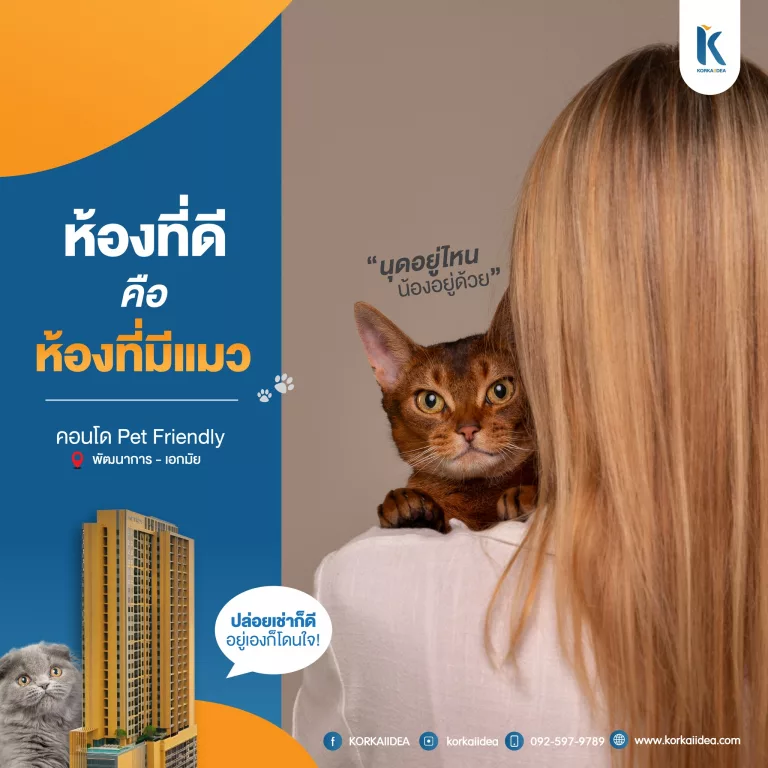 ห้อง ที่ ดี คือ ห้อง ที่ มี แมว คอนโด Pet Friendly