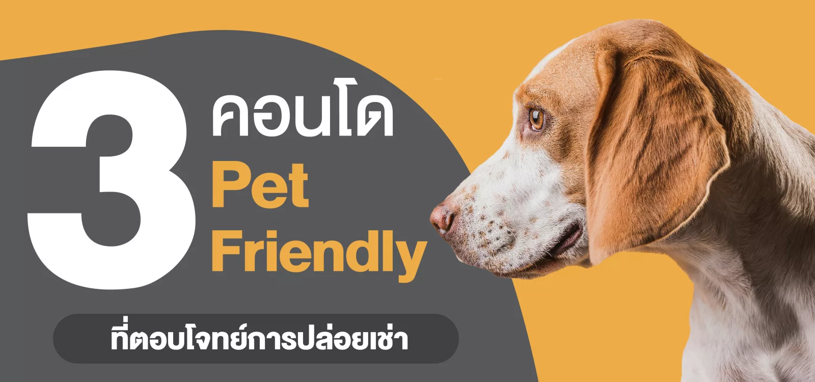 คอนโด Pet Friendly ตอบ โจทย์ การ ลงทุน