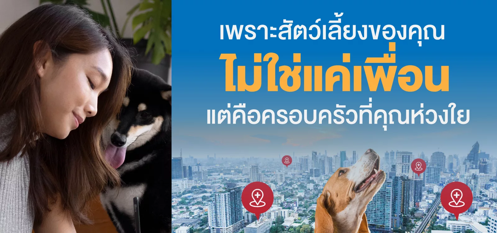 คอนโด สัตว์ เลี้ยง ครอบ ครัว Pet Friendly พื้นที่ ทำเล พัฒนาการ เอกมัย