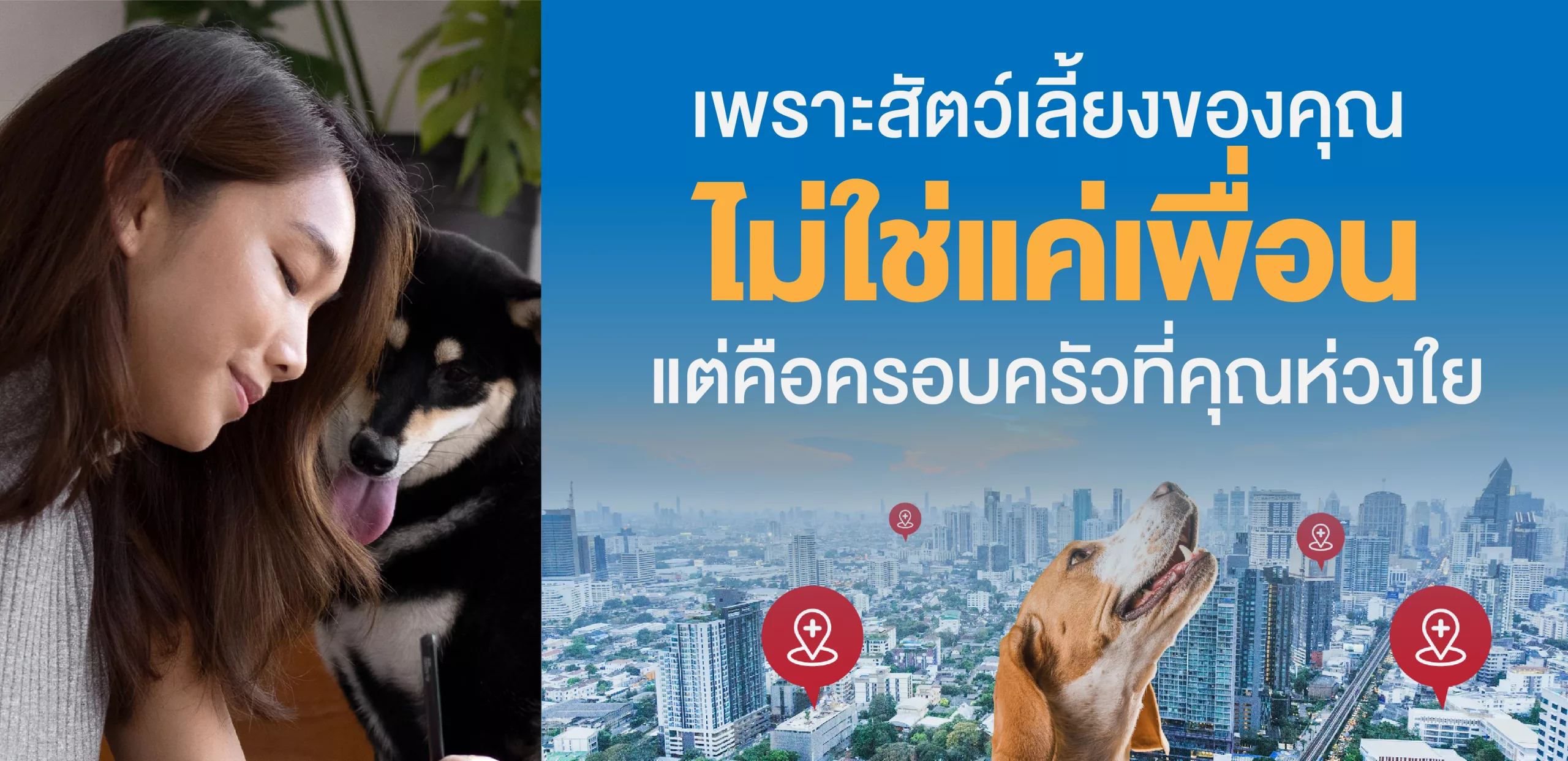 คอนโด สัตว์ เลี้ยง ครอบ ครัว Pet Friendly พื้นที่ ทำเล พัฒนาการ เอกมัย